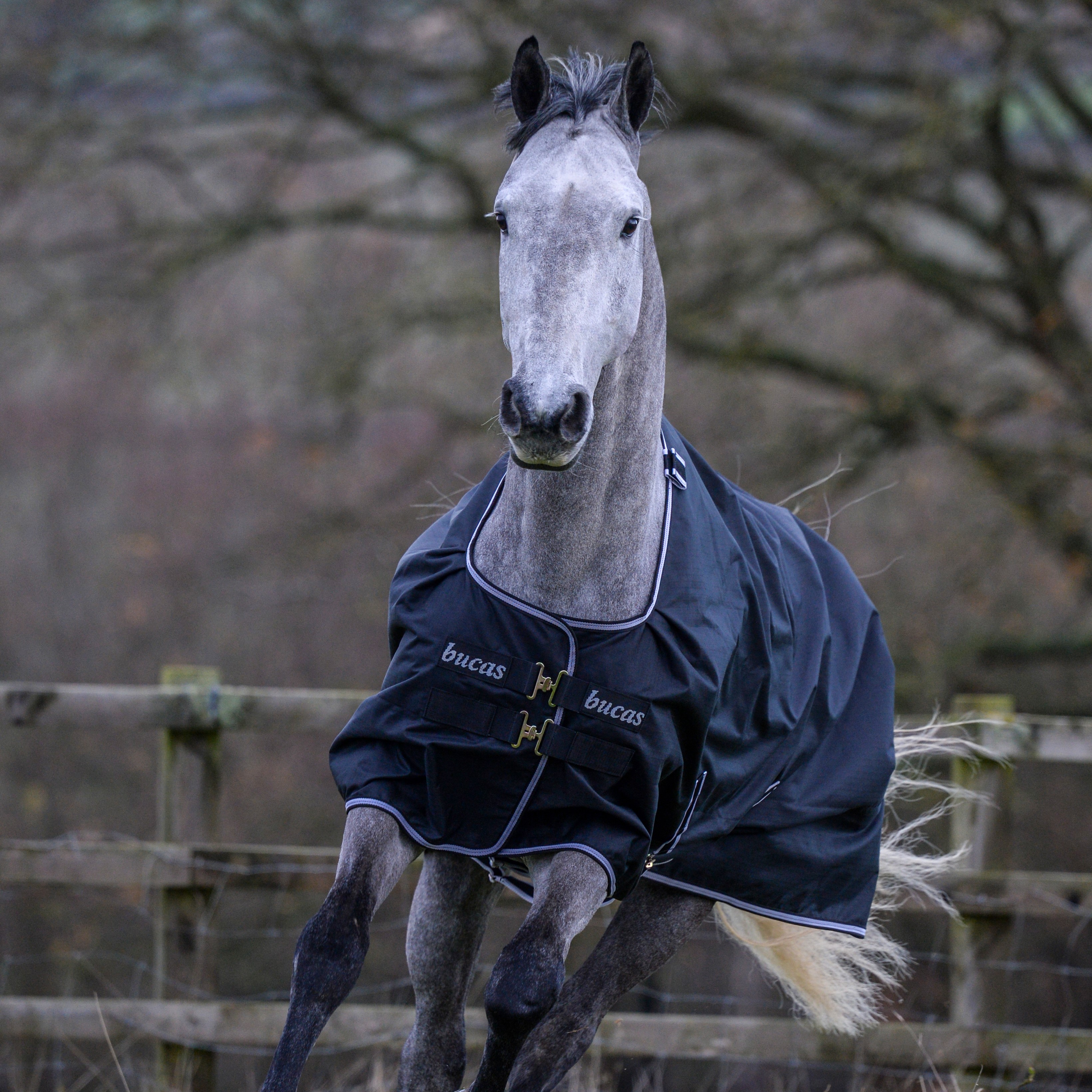 Bucas Trot Turnout 50g deken Preto / branco