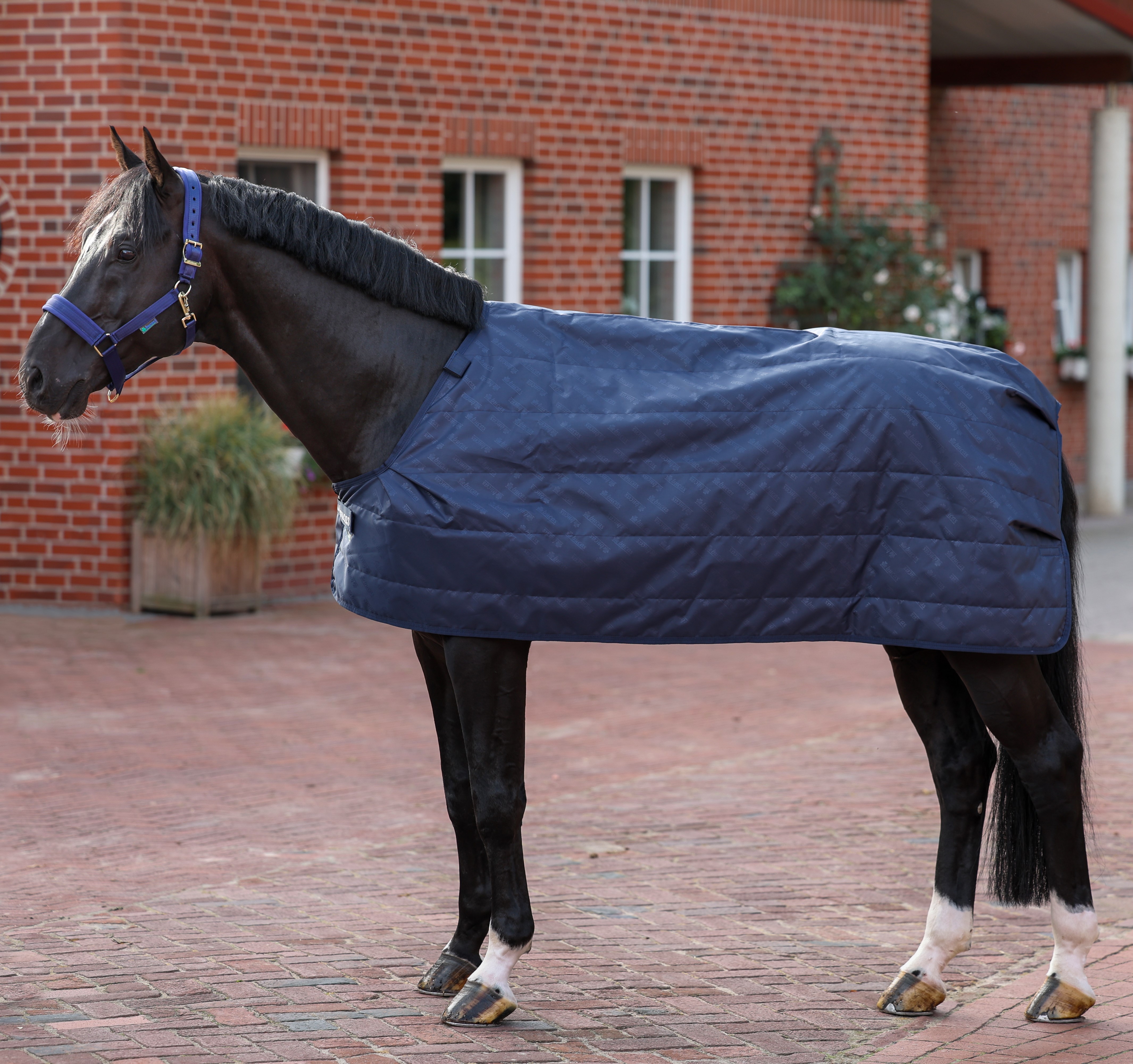 Forro Bucas 200g SF Azul-marinho Forro Bucas 200g SF Azul-marinho