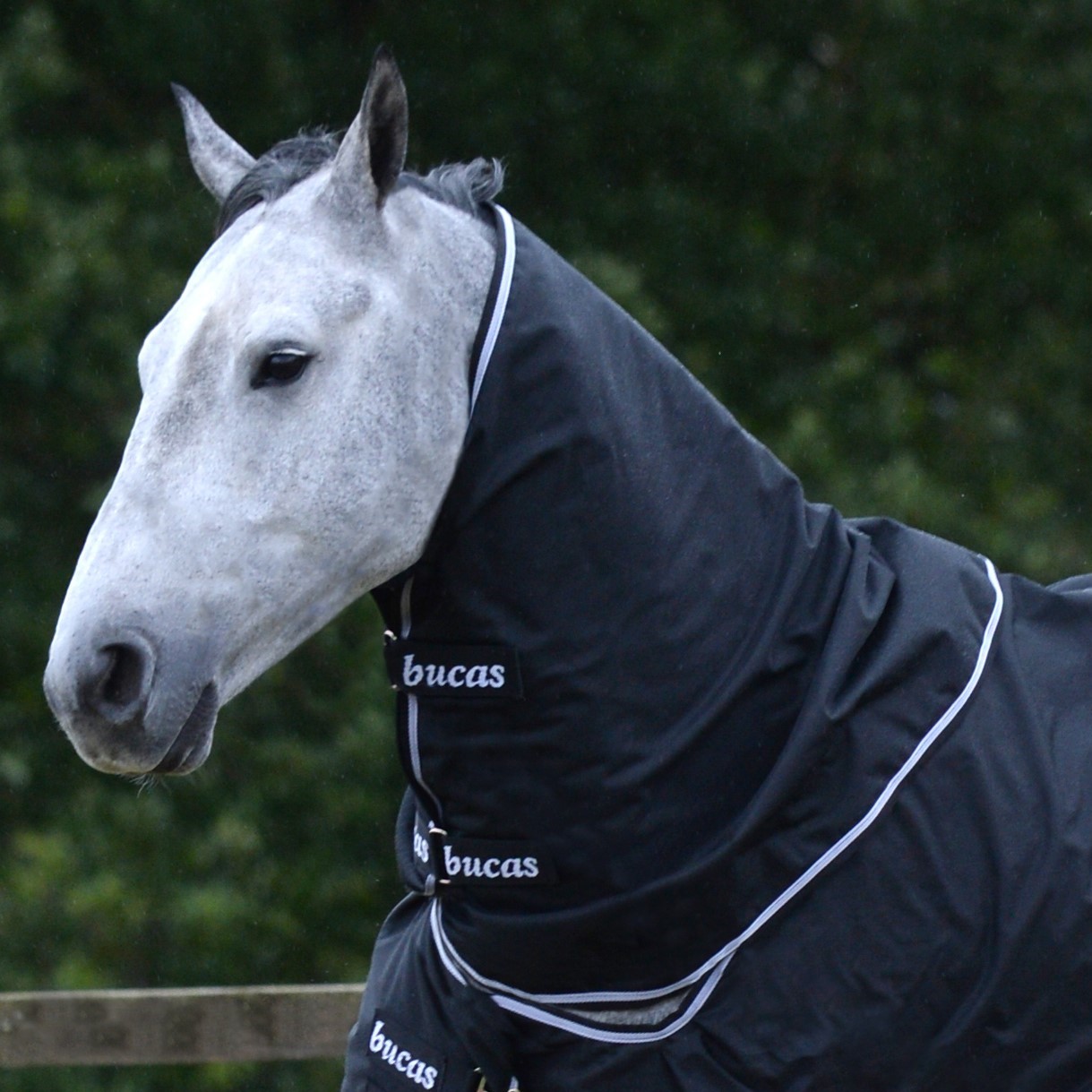 Pescoceira Bucas Trot Combi Neck Preto / branco