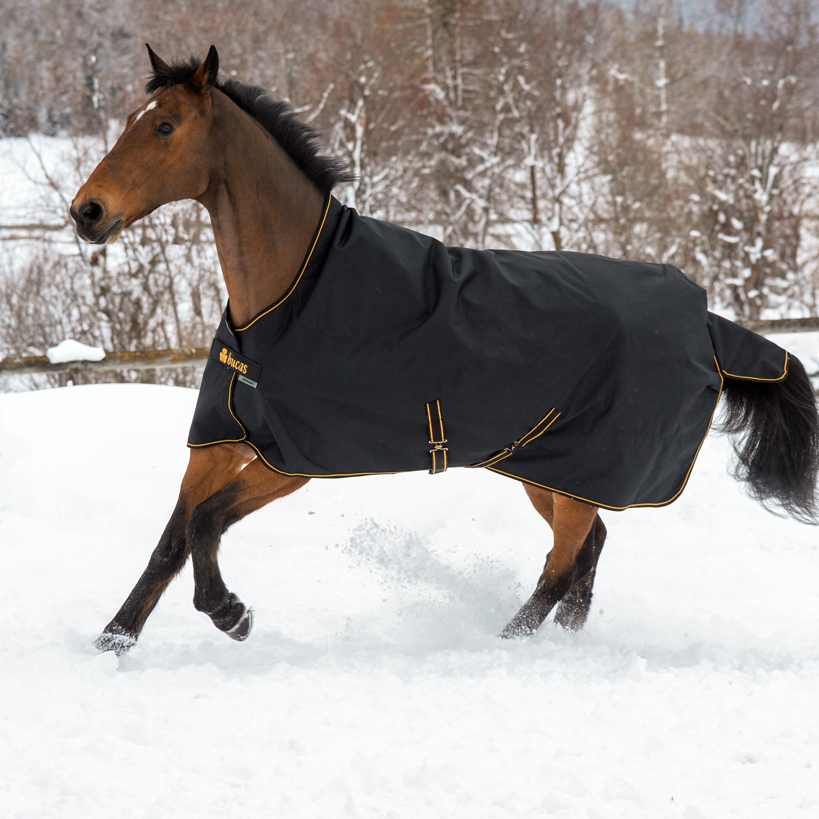 Manta Bucas Irish Turnout Light 50g com pescoceira Preto / dourado