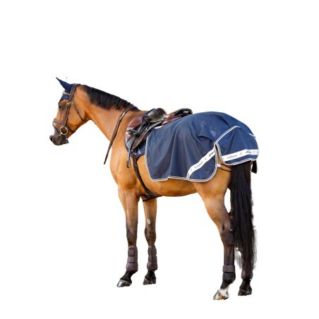 Cobre-rins impermeável LeMieux Arika