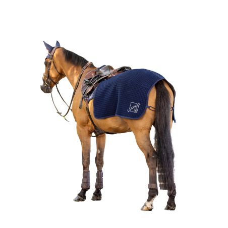 Cobre-rins LeMieux Clima-Tek