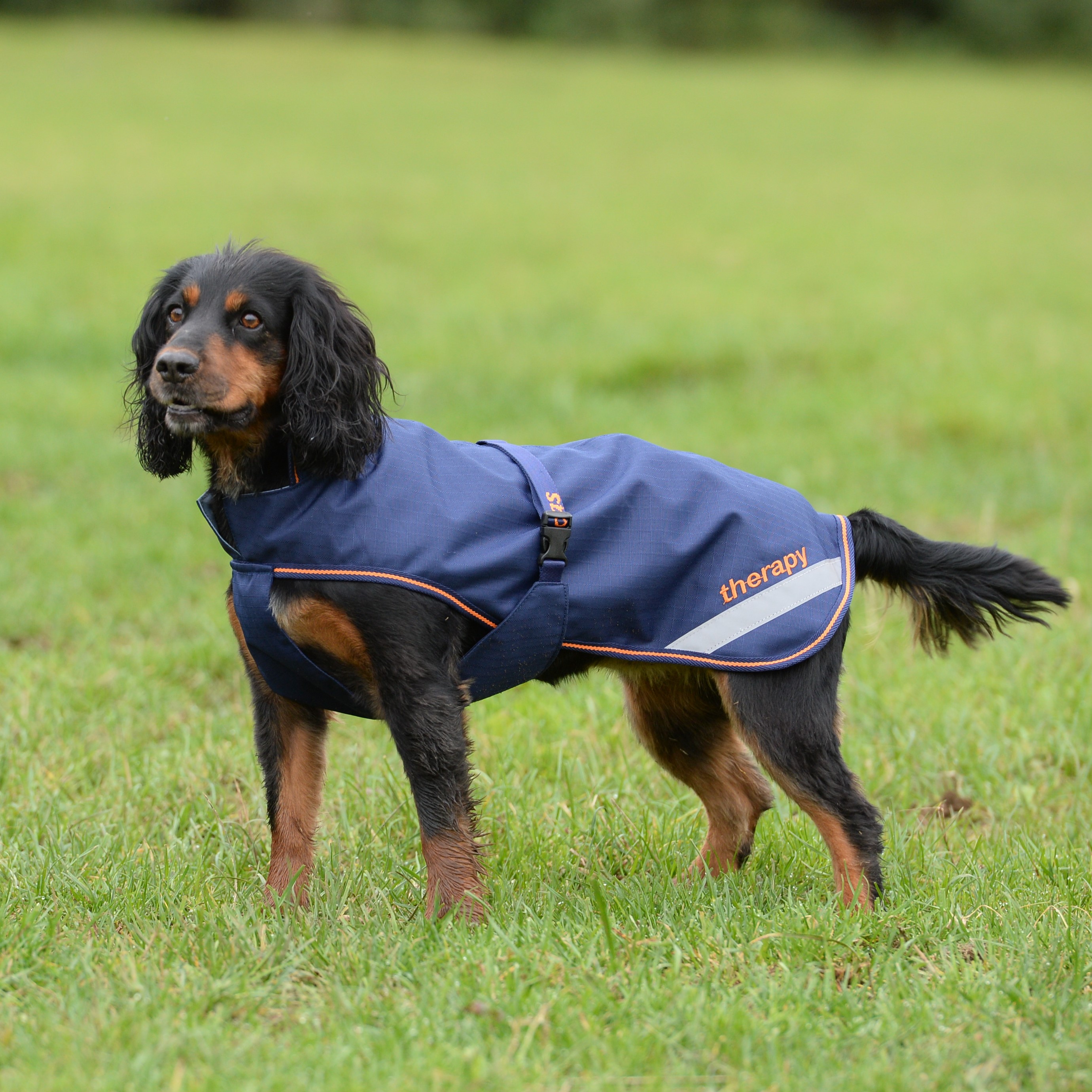 Hondendeken Bucas Therapy 0g Marinho / laranja Azul