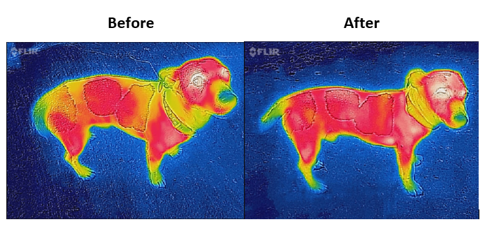 Hondendeken Bucas Therapy 0g Marinho / laranja Azul