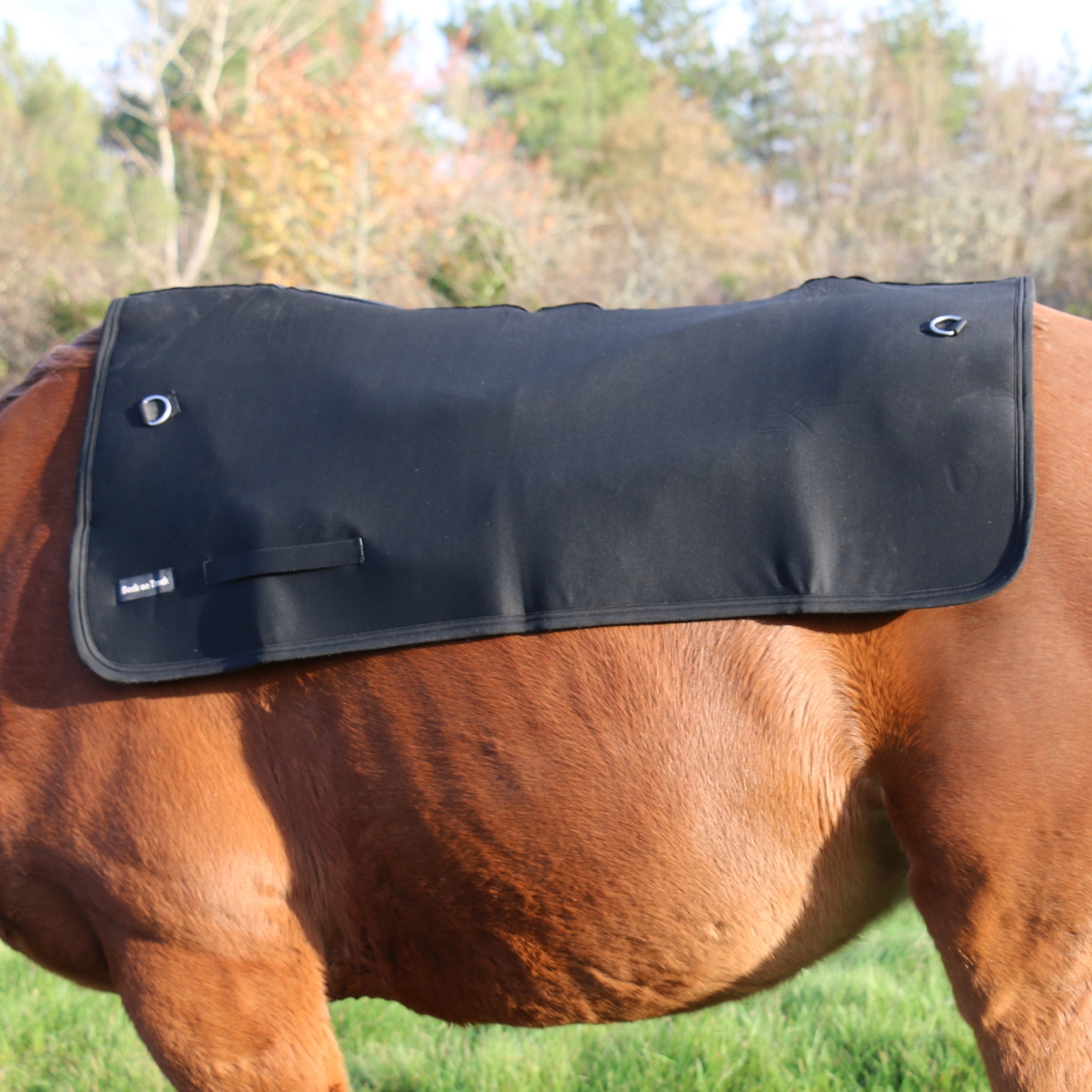 Aquecedor de costas Back on...