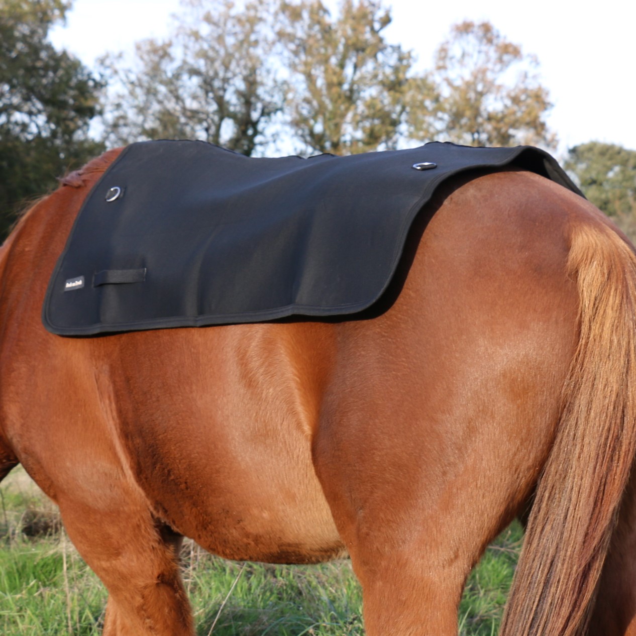 Aquecedor de costas Back on...