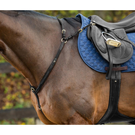 Peitoral com Martingal Dy'on Coleção D