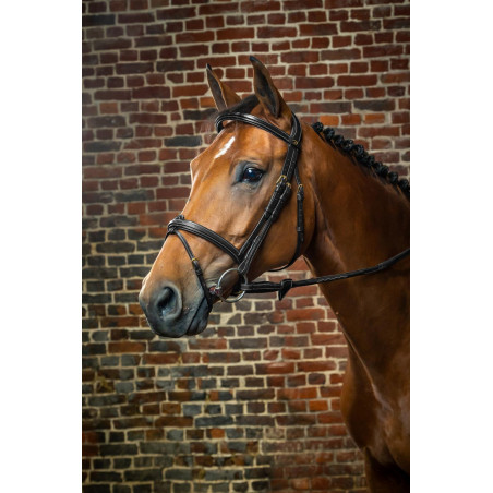 Bridão Muserola Combinada Dy'on D Collection