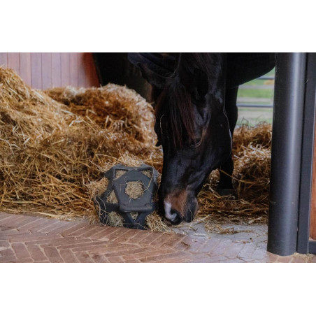 Bola de jogo / bola de feno Kentucky