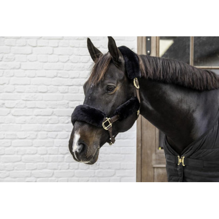 Capa de carneiro para cabresto 4 peças Kentucky