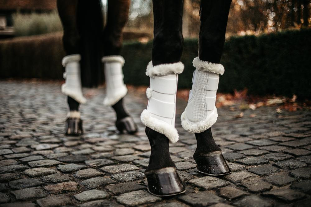 Guéitres fechadas Air Kentucky Preto