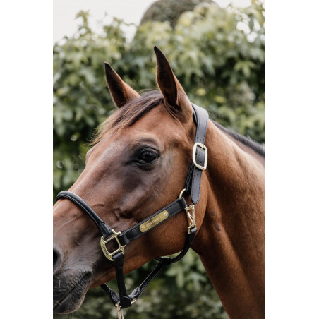 Cabresto Anatômico de Couro Kentucky