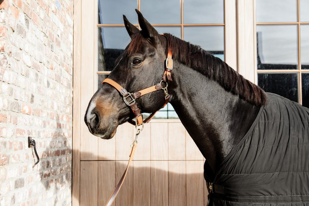 Caveção de Nylon Trançado Kentucky Bege