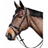 Bridon Lexington Pull Back Boston - Camelo
