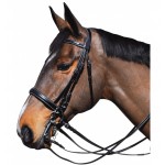 Bridão Lexington Pull Back Michigan