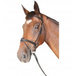 Bridon Cabourg Combinado Privilégio Equitação