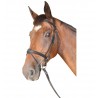 Bridon Cabourg Combinado Privilégio Equitação - Castanho