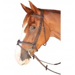 Bridon Dinard Combinado Privilégio Equitação