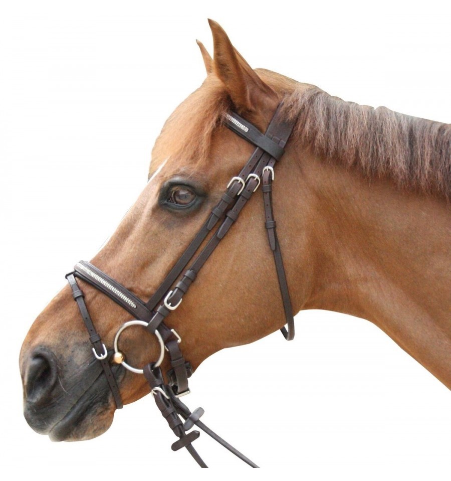 Bridon Pull Back Lacanau Privilégio Equitação Castanho