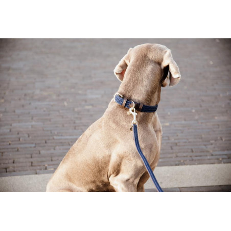 Trela para cão de nylon entrançado 120 cm Kentucky