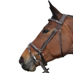 Bridão Pull Back Cannes Privilège Equitação