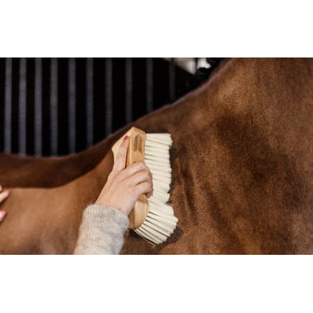 Tampa de cerdas macias Kentucky