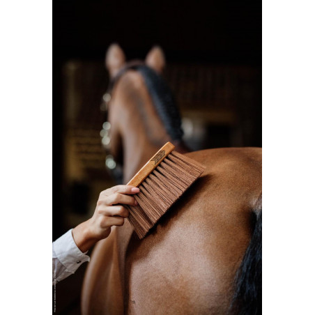 Rolha média médio Kentucky