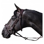 Bridão Hickstead Flags & Cup