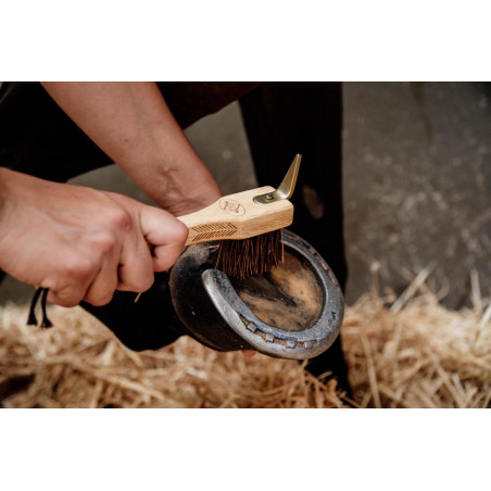 Limpador de cascos Kentucky