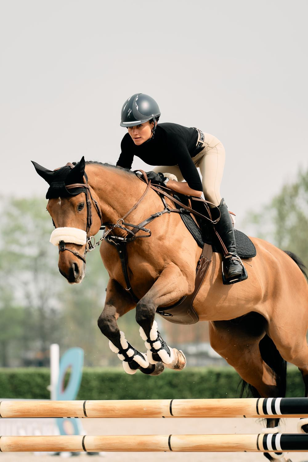 Capa de focinheira em lã Kentucky Preto