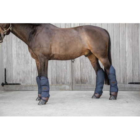 Guinchos de transporte Kentucky