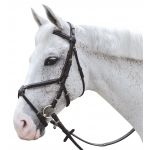 Bridão pespontado cruzado Canter