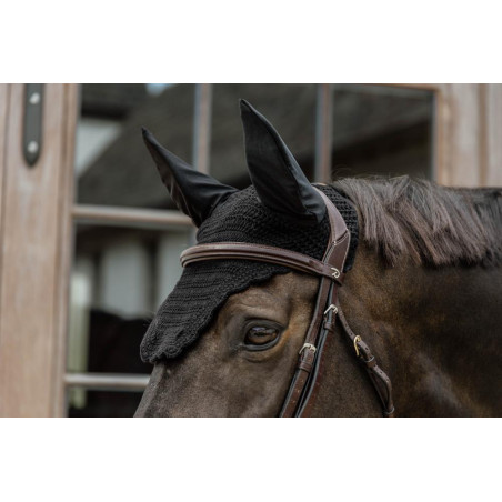 Boné Wellington Wave Kentucky