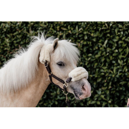 Cabezada de carneiro em couro Kentucky