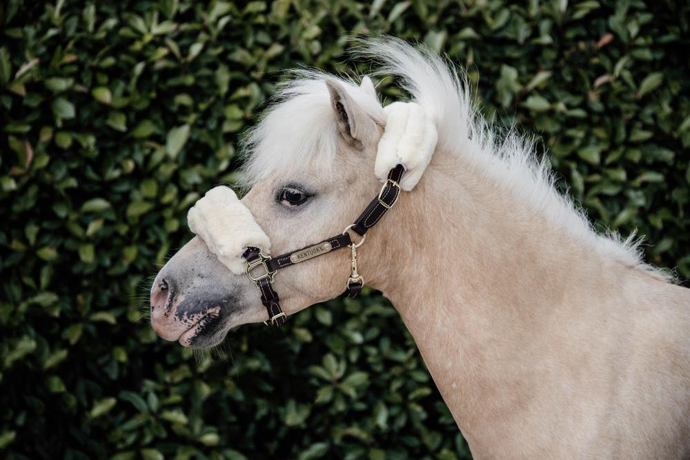 Cabezada de carneiro em couro Kentucky Castanho
