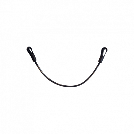 Correia de cauda Kentucky