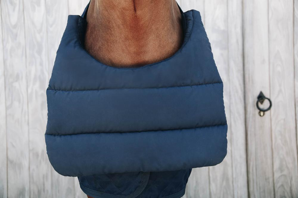 Protetor de peito BIB Verão Kentucky Preto