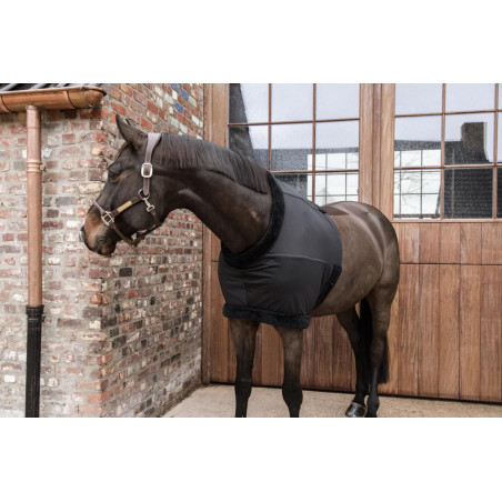 Protetor de Peito Kentucky