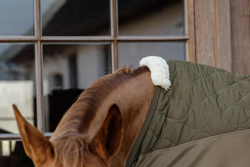 Transporte Combo Cooler Fleece Kentucky Verde pinho