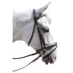 Bridon Pull Back Euro Canter