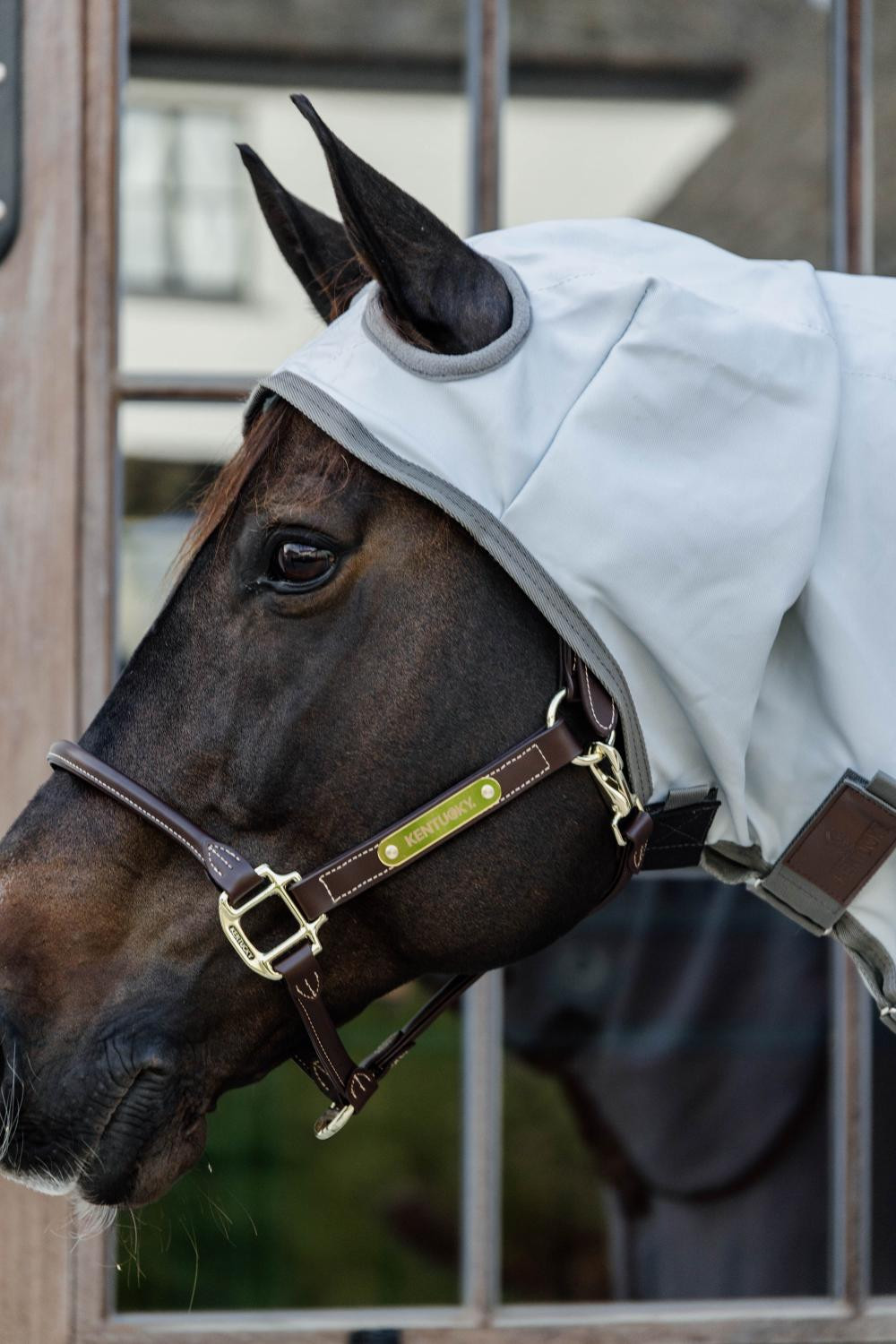 Capa Anti-dermatite Kentucky Cinzento