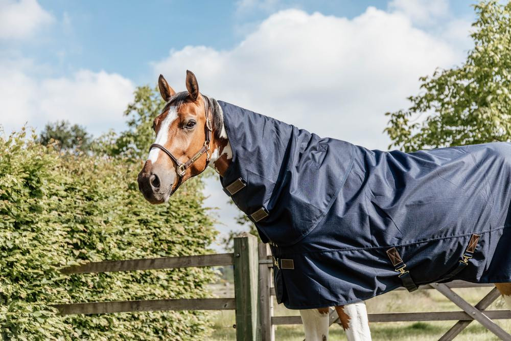 Cobertura de exterior All Weather Quick Dry Fleece com capa de pescoço Kentucky Marinho Azul-marinho Cobertura de exterior All Weather Quick Dry Fleece com capa de pescoço Kentucky Marinho Azul-marinho
