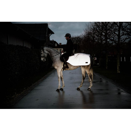 Cobre-rins Reflector Kentucky