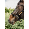 Cabresto de controle Kentucky - Preto