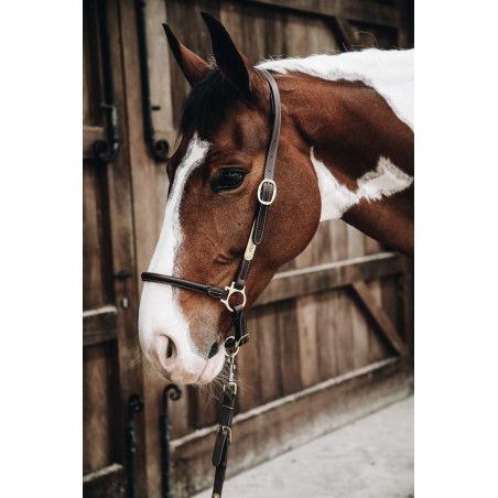 Cabeçada de limpeza em couro Kentucky