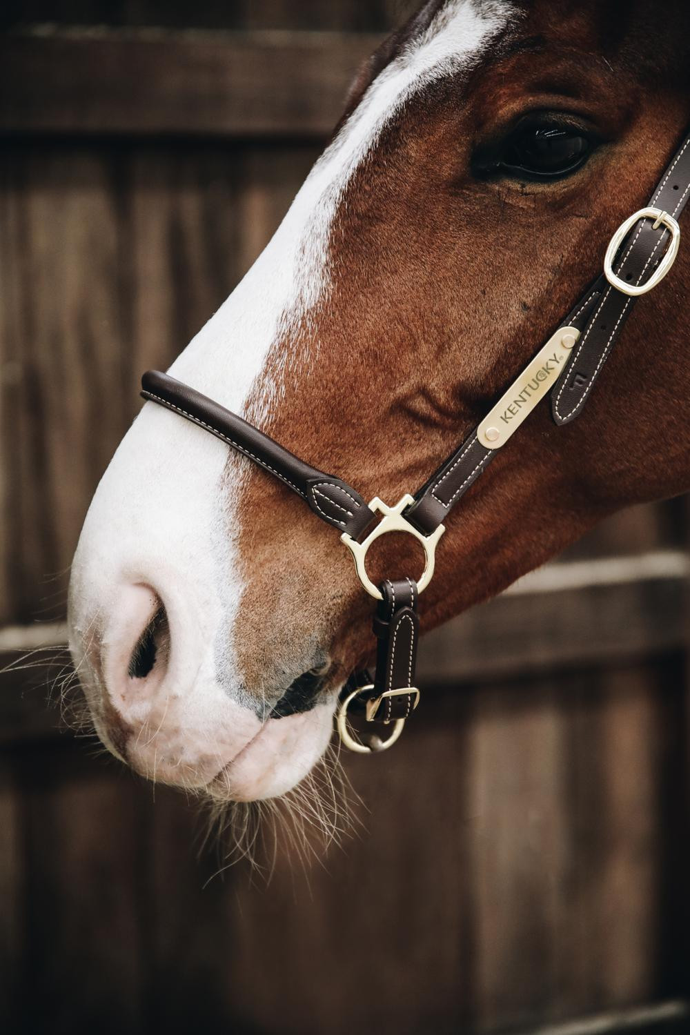 Cabeçada de limpeza em couro Kentucky Castanho
