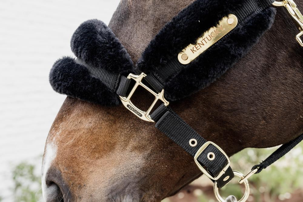 Cabeleira de Nylon com lã Soft Kentucky Preto Cabeleira de Nylon com lã Soft Kentucky Preto