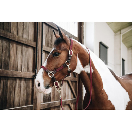 Longe Trançada de Nylon Kentucky