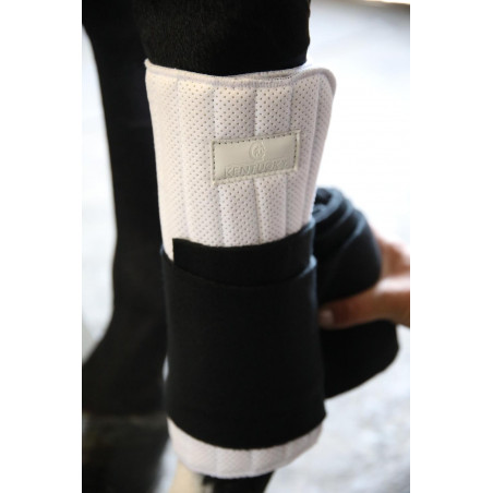 Sub-faixas de trabalho Absorb Kentucky