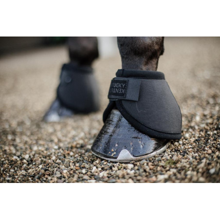 Sino protetor de glomos Kentucky